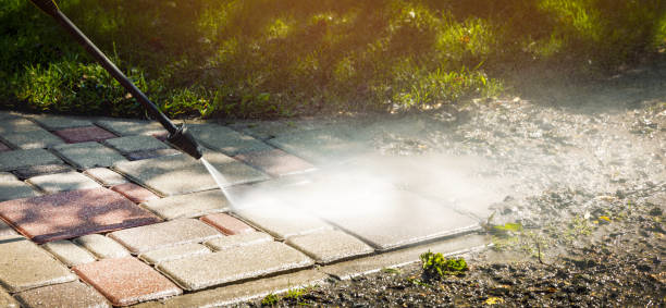 Best Animal Enclosure Cleaning  in Santa Nella, CA